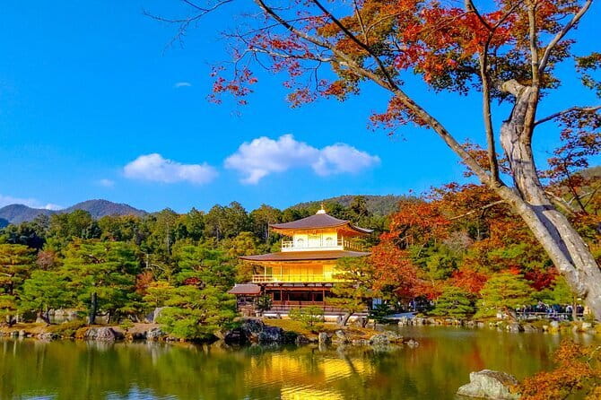 Guided Kyoto City Cherry Blossom One Day Private Tour - Gion, where old Kyoto still frames the streets