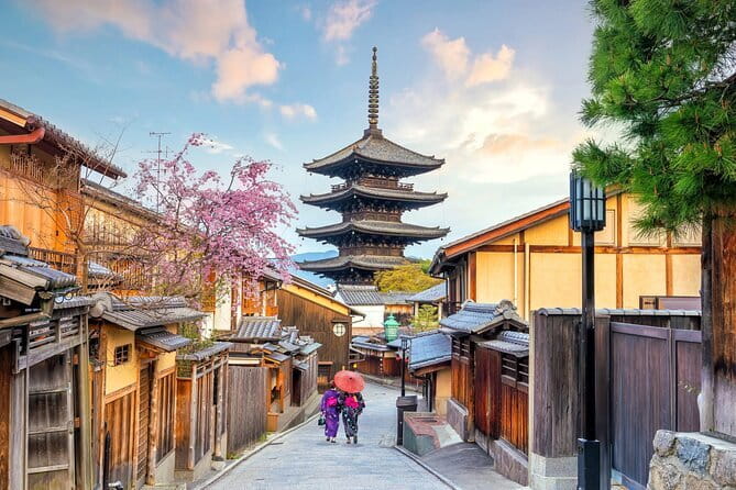 Guided Kyoto City Cherry Blossom One Day Private Tour - What the $569 price really buys