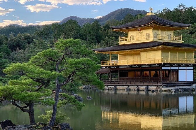 Guided Kyoto City Cherry Blossom One Day Private Tour - Kinkakuji and the Golden Pavilion