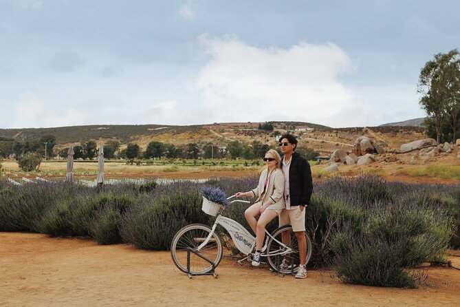 Guided Lavender Experience: Cultivation, Uses and Tasting - How the one-hour itinerary comes together