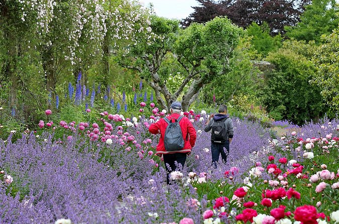 Guided Thursday Tours at Mount Congreve Gardens - A small group with a more personal feel