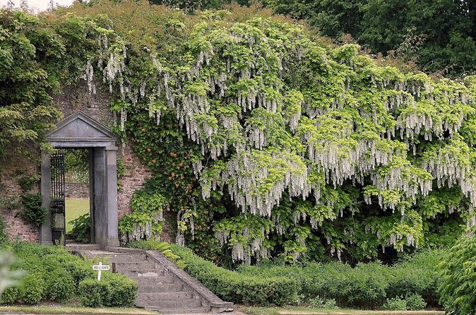 Guided Thursday Tours at Mount Congreve Gardens - What the price means at $23.58