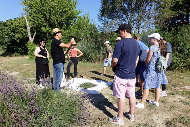 Guided tour Distillery of Lavender between Nîmes & Arles - The shop adds value, but it changes the tone