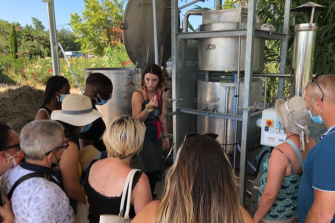 Guided tour Distillery of Lavender between Nîmes & Arles - Timing, weather, and practical details