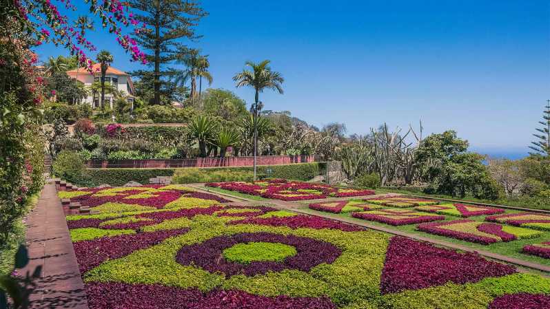 Guided Tuk-Tuk Tour to Botanical Garden (From Funchal) - Key points to know before booking