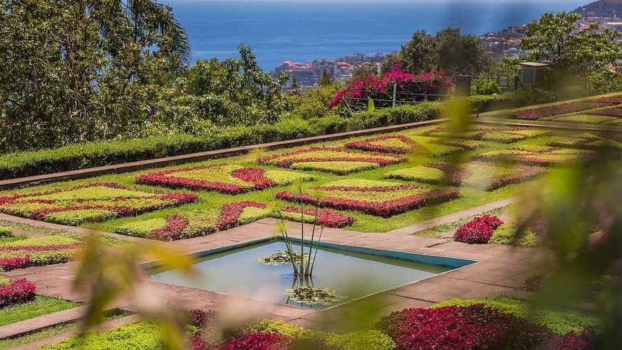 Guided Tuk-Tuk Tour to Botanical Garden (From Funchal) - My verdict: book it for the ride, not only the garden