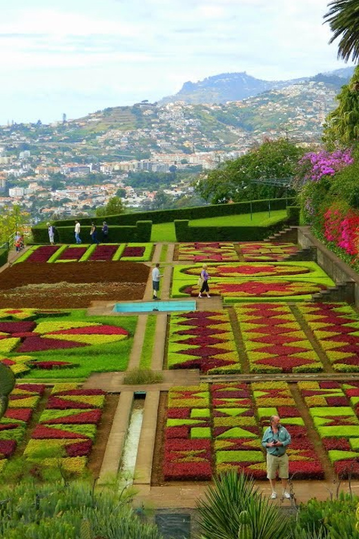 Guided Tuk-Tuk Tour to Botanical Garden (From Funchal) - The ride from Avenida do Mar to the Botanical Garden