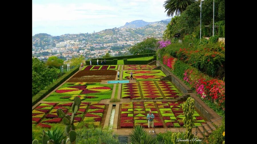 Guided Tuk-Tuk Tour to Botanical Garden (From Funchal) - Entering Madeira’s Botanical Garden