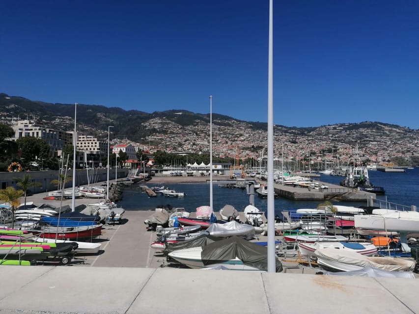 Guided Tuk-Tuk Tour to Botanical Garden (From Funchal) - Who will enjoy this Madeira outing