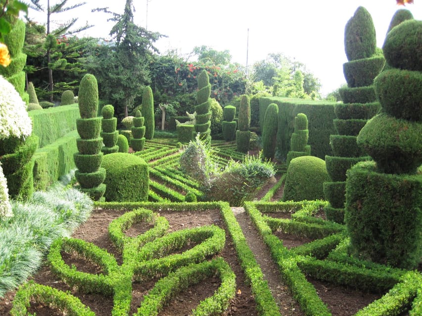 Guided Tuk-Tuk Tour to Botanical Garden (From Funchal) - Languages and the style of guiding