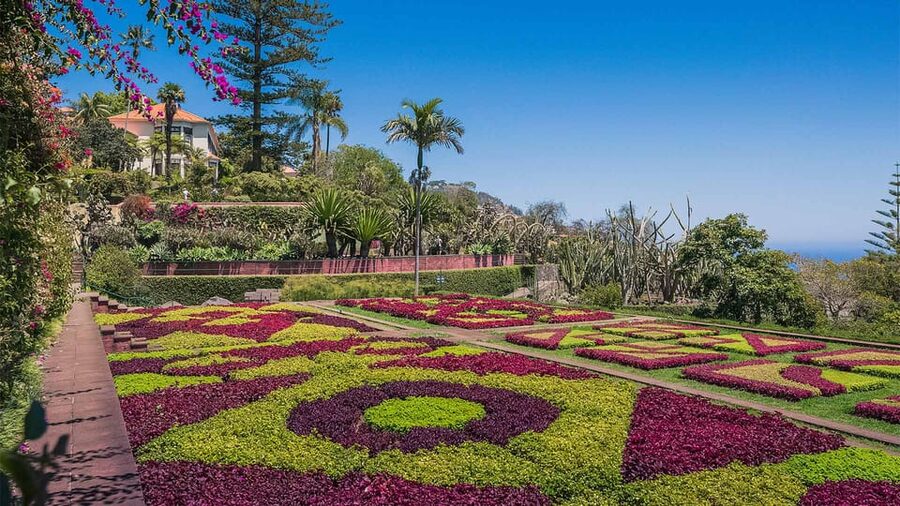 Guided Tuk-Tuk Tour to Botanical Garden (From Funchal) - Why Funchal’s steep roads make this ride worthwhile
