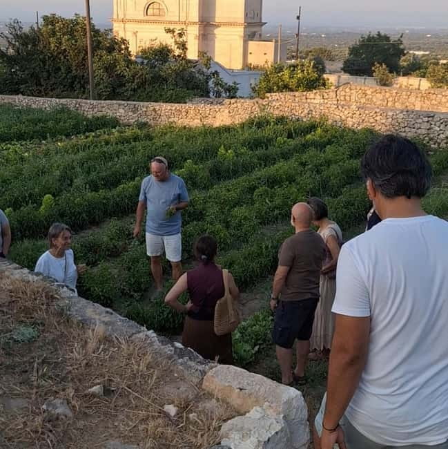 Guided visit to the Medieval Gardens of Ostuni - Key points at a glance