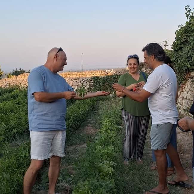 Guided visit to the Medieval Gardens of Ostuni - Meeting Antonio, Deborah, and the people saving local crops