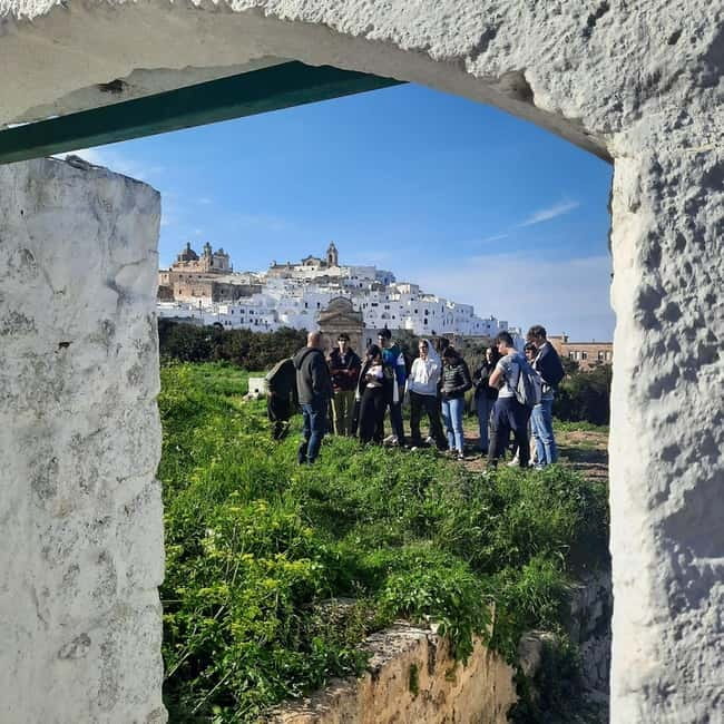 Guided visit to the Medieval Gardens of Ostuni - The panoramic view beneath the White City