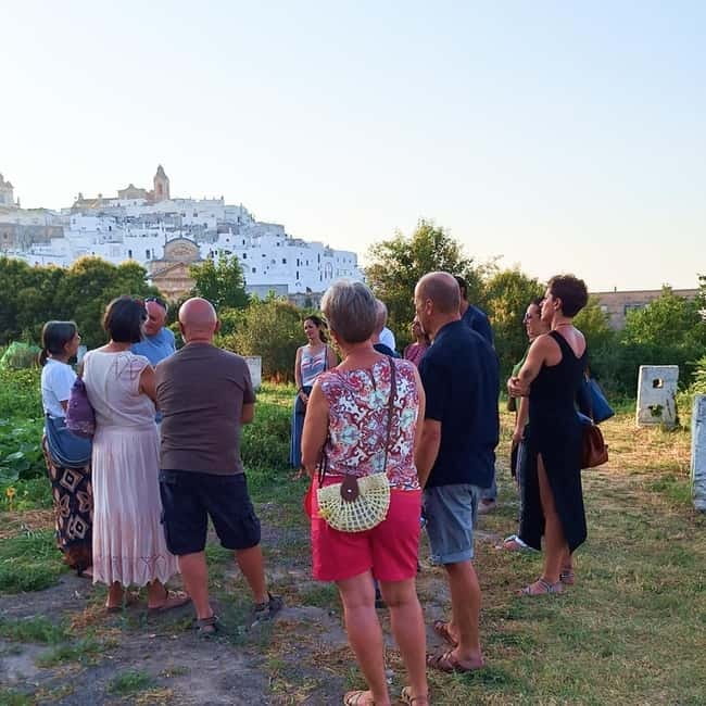 Guided visit to the Medieval Gardens of Ostuni - Walking through dry stone walls and old water systems