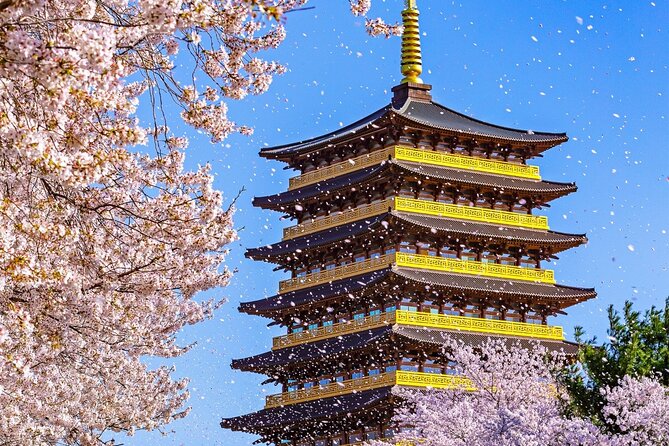 Gyeongju Cherry Blossom Day Tour from Busan (2~3 spring spots) - Why Gyeongju works so well in cherry blossom season