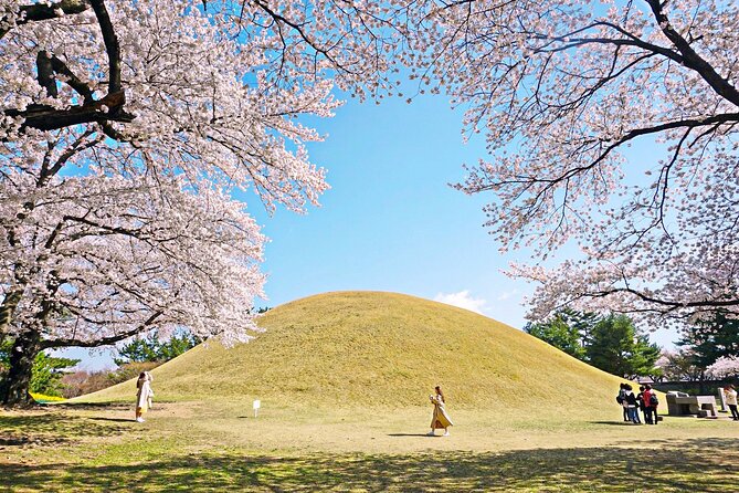 Gyeongju Cherry Blossom Day Tour from Busan (2~3 spring spots) - The journey from Busan to Gyeongju