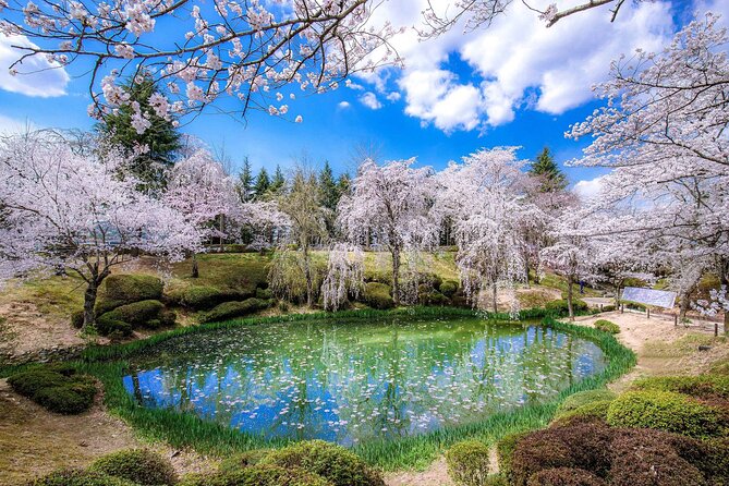 Gyeongju Cherry Blossom Day Tour from Busan (2~3 spring spots) - Bomun Lake and Hwangnyongwon for open spring views