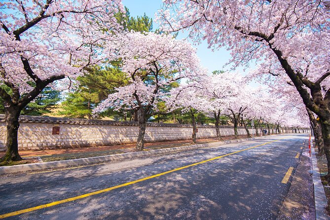 Gyeongju Cherry Blossom Day Tour from Busan (2~3 spring spots) - Daereungwon and Cheomseongdae: flowers beside Silla history