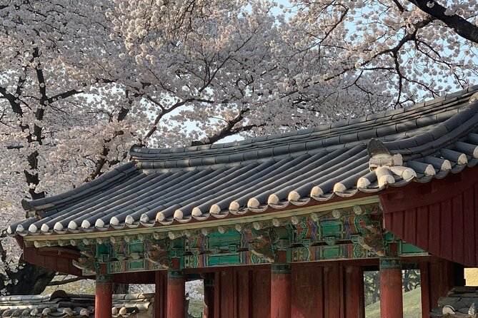 Gyeongju Cherry Blossom Day Tour from Busan (2~3 spring spots) - Woljeonggyo Bridge and Gyerim Forest