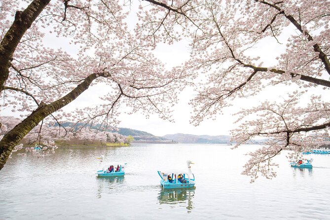 Gyeongju Cherry Blossom Day Tour from Busan (2~3 spring spots) - Bulguksa Temple and the older side of Gyeongju