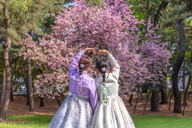 Gyeongju Cherry Blossom Day Tour from Busan (2~3 spring spots) - Guides, group size, and the feel of the day
