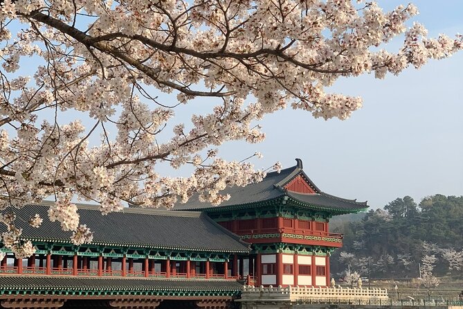 Gyeongju Cherry Blossom Day Tour from Busan (2~3 spring spots) - How the flexible two or three stop plan works