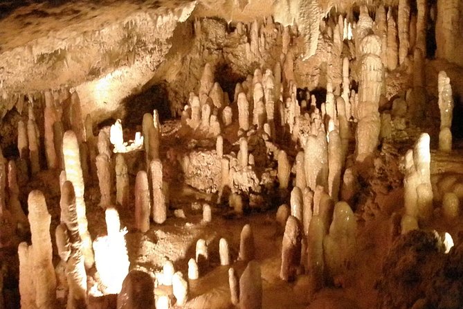 Half-Day Barbados Tour Harrisons Cave Hunte's Garden and Bathsheba - Key details before you book