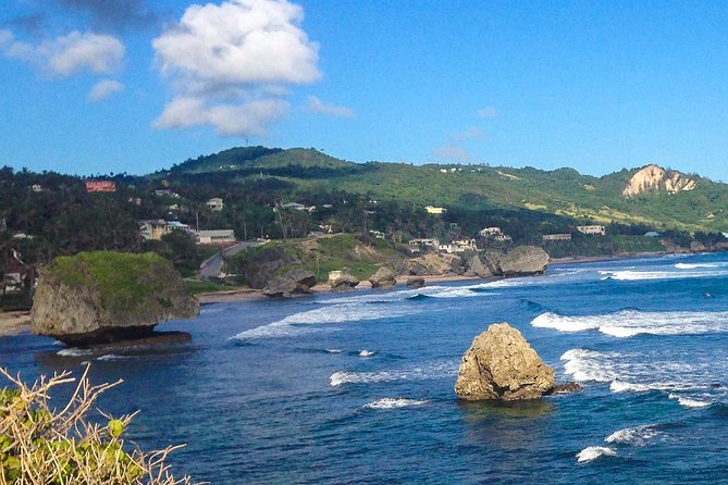 Half-Day Barbados Tour Harrisons Cave Hunte's Garden and Bathsheba - Who will enjoy this half-day outing?