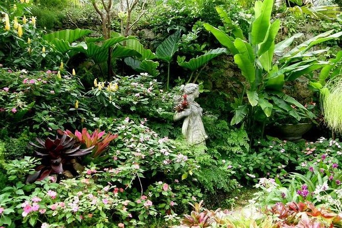 Half-Day Barbados Tour Harrisons Cave Hunte's Garden and Bathsheba - Hunte’s Garden: tropical color with room to wander