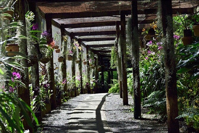Half Day Mudpools, Veseisei Fijian Village, Gardens of Sleeping Giants &Shopping - Temple, markets, and Nadi shopping