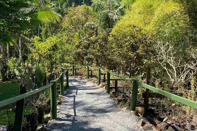 Half Day Nadi Tour Temple, Market, Gardens and Mud Pools - Starting With Sri Siva Subramaniya Swami Temple