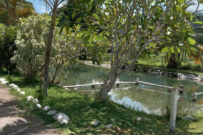 Half Day Nadi Tour Temple, Market, Gardens and Mud Pools - Getting Muddy at Sabeto Hot Springs