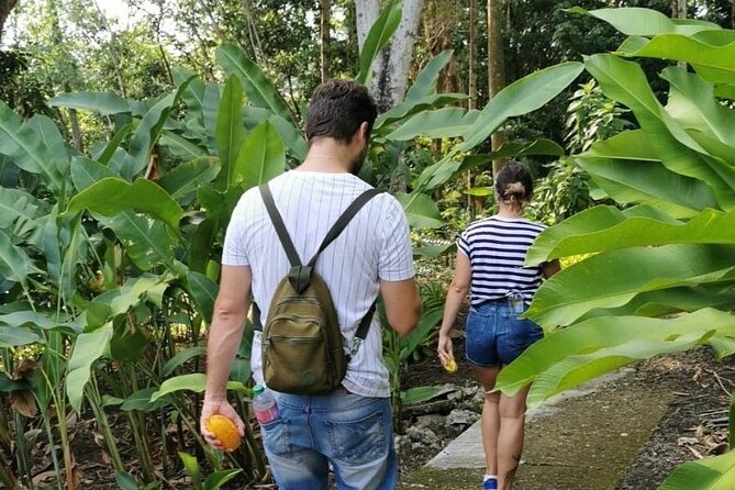 Half-Day Nature Culture Excursion, Tropical Taino Garden Tour - A Dominican lunch instead of a snack stop