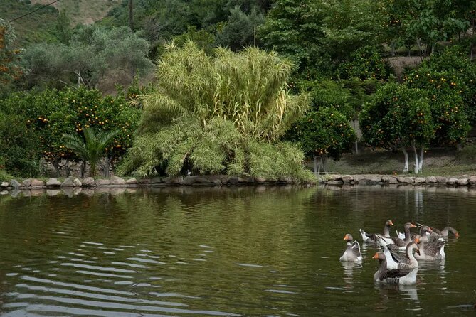 Half Day Private Tour to Botanical Garden in Chania - Who will get the most from this outing