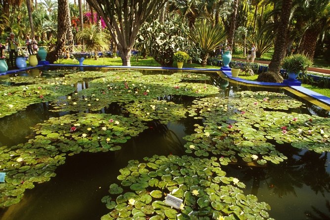 Half-Day Private Tour to Marrakech Gardens with Hotel Pickup - Timing, comfort, and practical limits