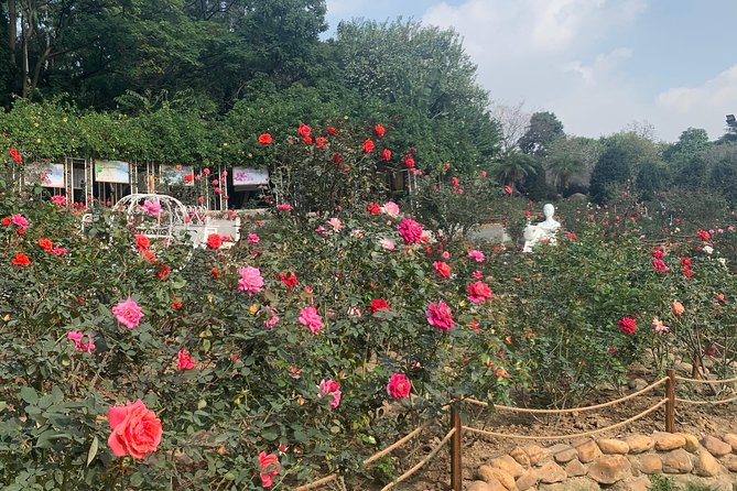 Half Day Private Tour to Yuntai Garden and Baiyun Mountain in Guangzhou - Views, temples, pavilions, and breathing room