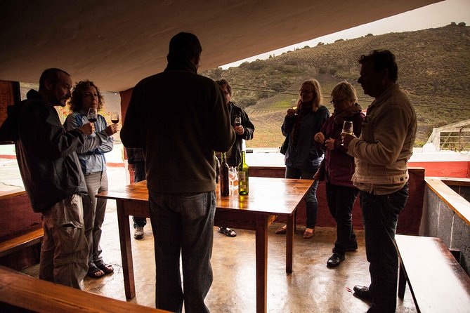 Half day to Bandama Caldera, Botanical experience & Wine-Tasting - Key points at a glance