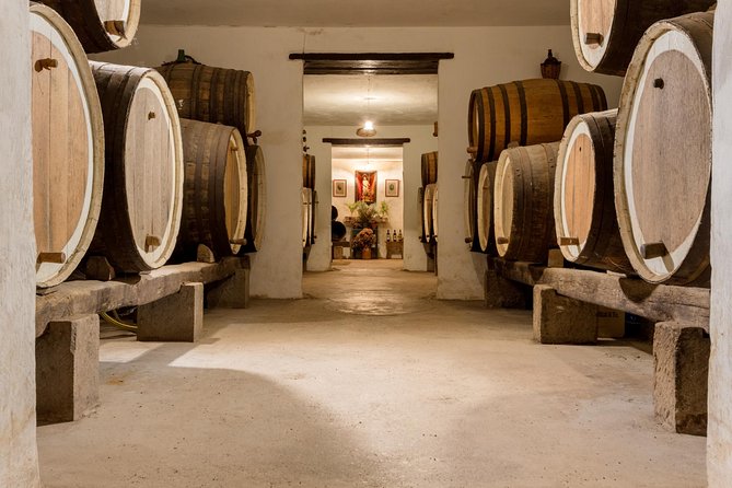 Half day to Bandama Caldera, Botanical experience & Wine-Tasting - Thirty minutes among island plants