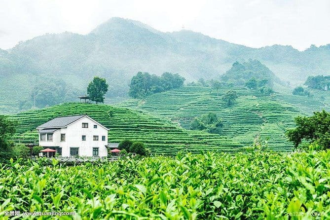 Hangzhou Nature and Garden Private Day Tour with Tea Village and Lunch - Xueyan Hu’s Qing dynasty garden house