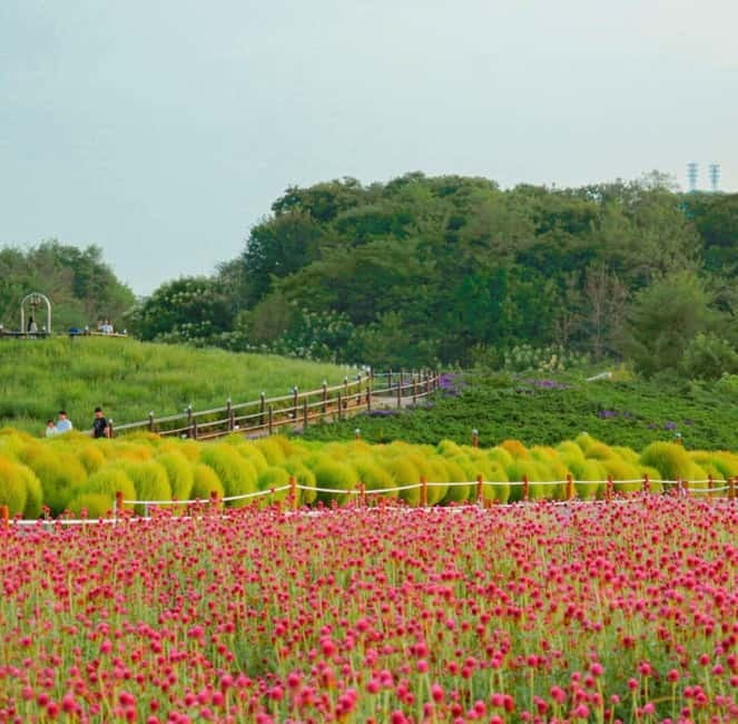 Hantan Canyon & Goseokjeong Flower Garden & Pink Muhly Park - Why Hantan Canyon is the star of the day