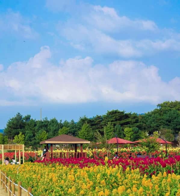Hantan Canyon & Goseokjeong Flower Garden & Pink Muhly Park - Reading the river’s volcanic rock