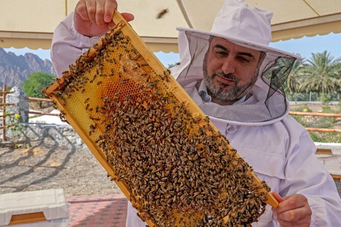 Hatta Mountain Tour, Hatta Dam, Heritage Village, Honeybee Garden - Kayaking adds activity to a scenic stop