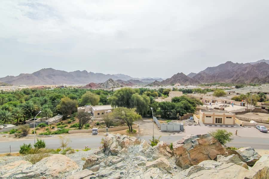 Hatta Safari & Honey Bee Garden Visit - From Dubai’s desert to the Hajar Mountains
