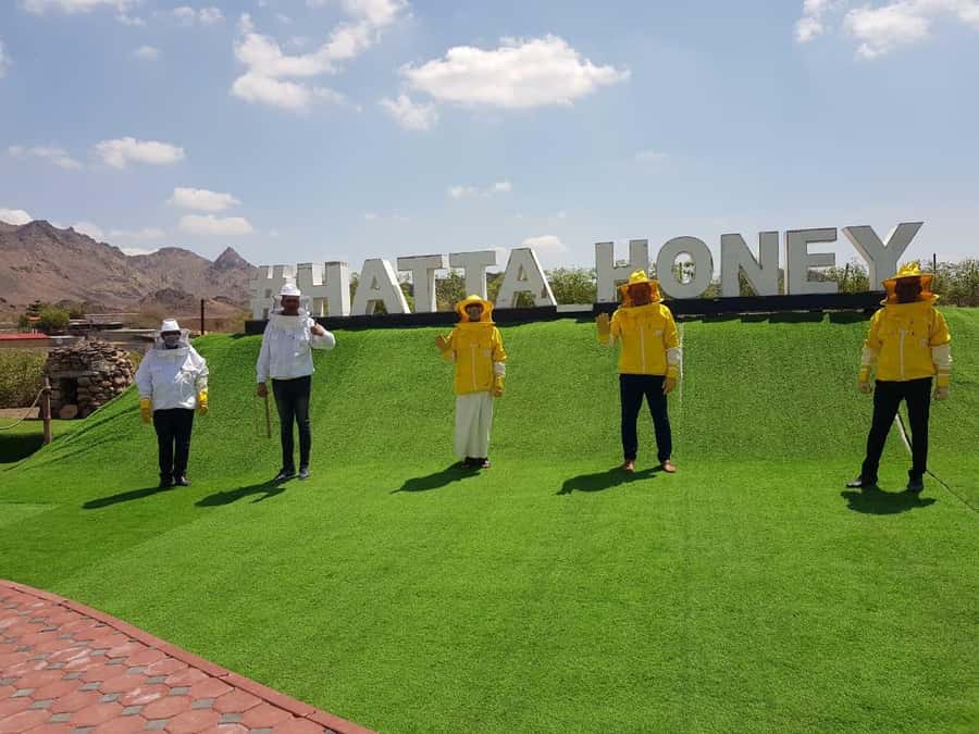 Hatta Safari & Honey Bee Garden Visit - Hatta itself and the final view at Hatta Dam