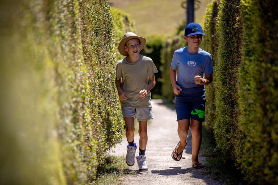 Herons Creek: Bago Maze Entry Ticket - Key points to know before you go