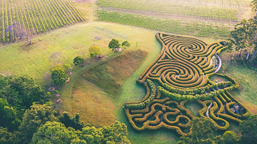 Herons Creek: Bago Maze Entry Ticket - Why Bago Maze is more than a hedge walk