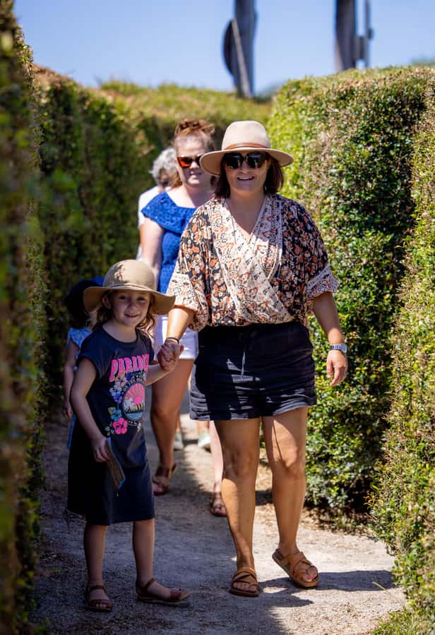 Herons Creek: Bago Maze Entry Ticket - The winery setting changes the pace