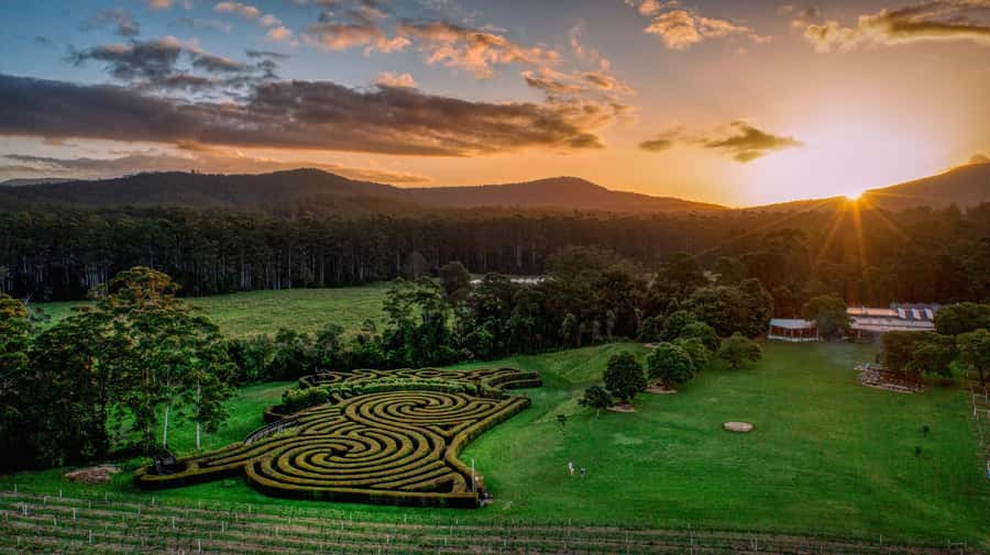 Herons Creek: Bago Maze Entry Ticket - Weather, shoes, and practical comfort