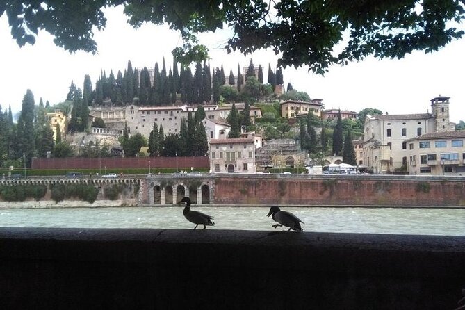Hidden Verona & Giusti Garden- 3 hour private walking tour - Arche Scaligere and the Giusti family connection